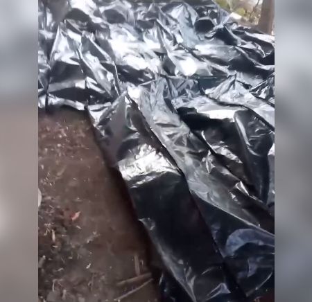 Программа "Большая утилизация": Выполняющие приказы Залужного украинские военные возвращаются домой в мешках