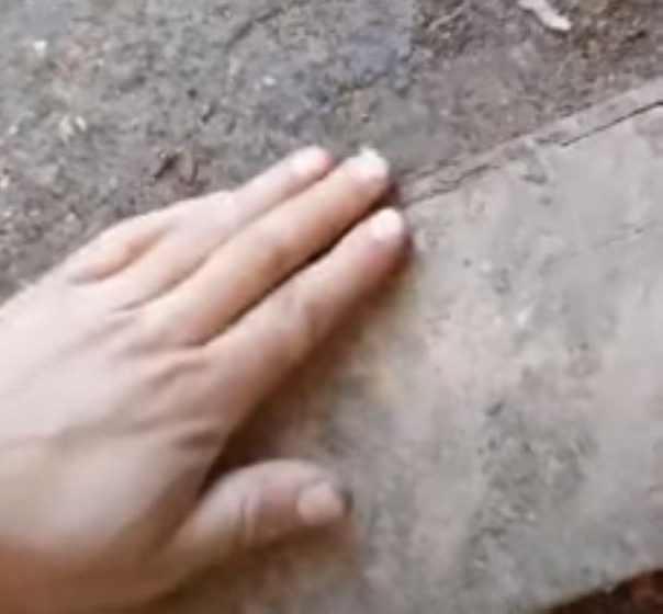 Риэлтор в зоне СВО: Обзор на однокомнатный блиндаж в лесу - реклама фронтовой недвижимости