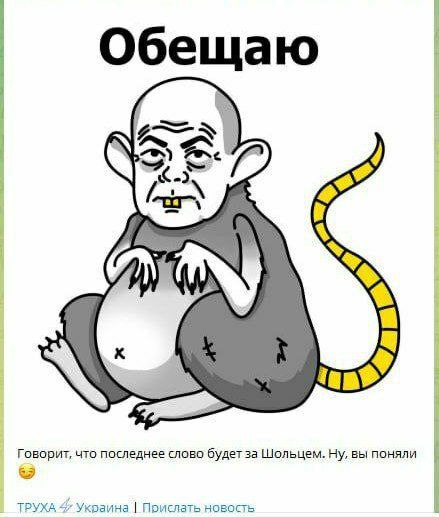 Немецких военнослужащих на Украине нет и не будет, заявил Шольц