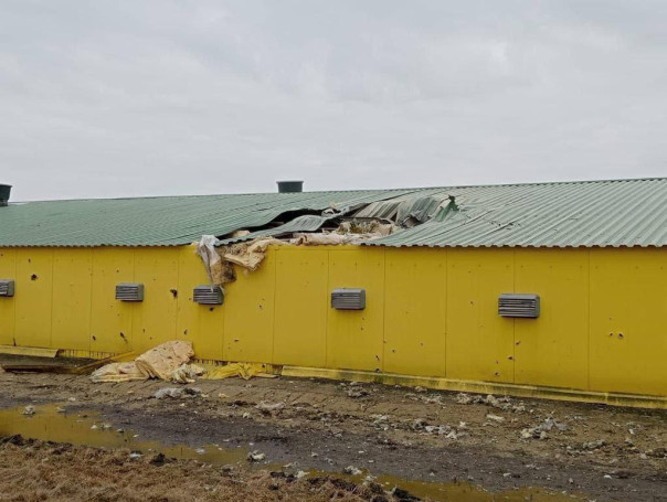 Четыре белгородских села остались без света после удара ВСУ