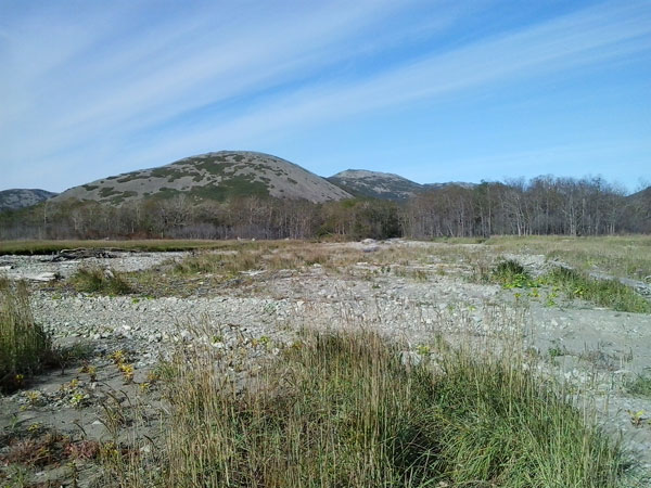 Экологические изыскания для сдачи объектов в эксплуатацию