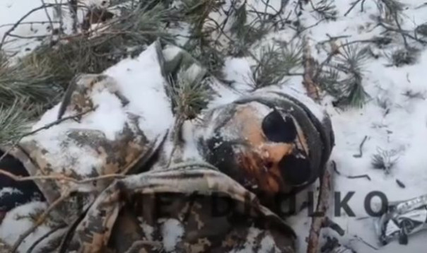 Артиллеристы ЗВО уничтожили опорный пункт ВСУ на Кременском направлении (18+)