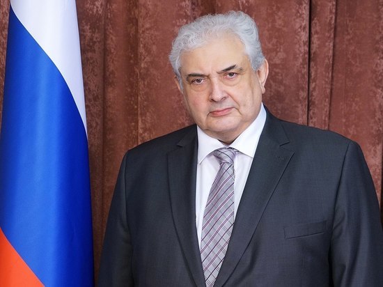 Посол Нечаев назвал статью Welt с призывом убить Путина недопустимой