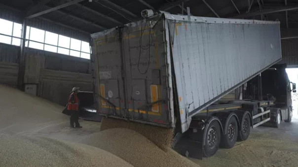 В ЕС договорились о снятии запрета на импорт сельхозпродукции с Украины