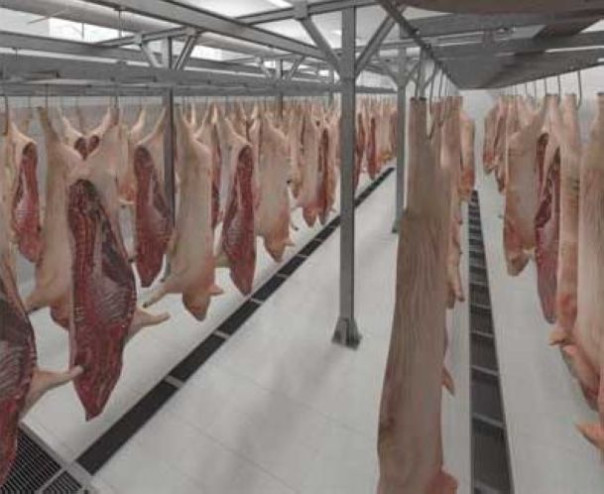 Приглашение на бойню