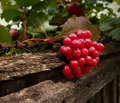 А.В.Росич. Уточнения на тему "московского царства" и "украинской государственности"