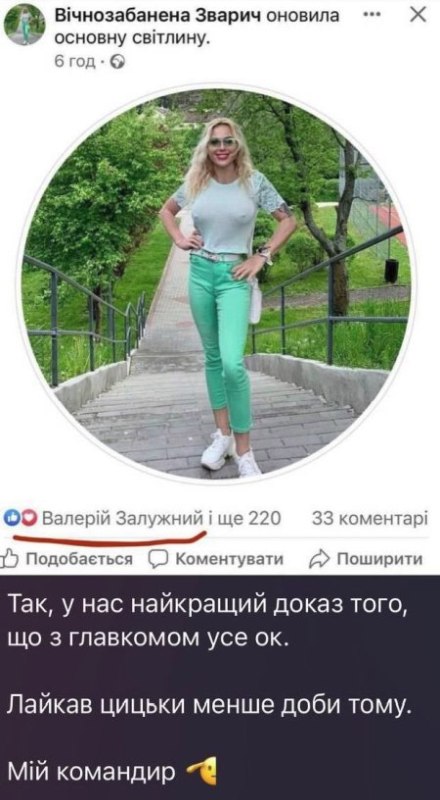 Киев «оживляет» Залужного старыми фото, скринами и видео