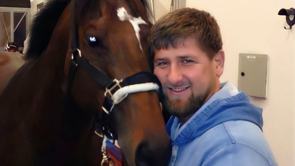 Кадыров выкупил у украинских спецслужб любимого коня