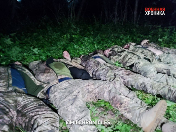 Госдеп прокомментировал атаку украинской ДРГ в Белгородской области