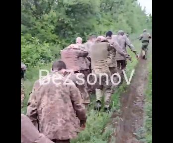 20 укровояк на горловском направлении контрнаступили сразу прямо в плен.