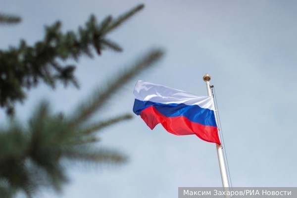 Наше спокойствие дало государству силы справиться с кризисом. Ирина Алкснис