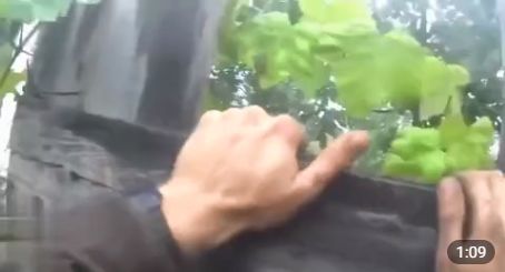 Эпичная битва: финский наёмник vs украинский забор