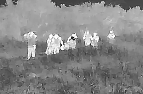 Целая группа украинских военных сдалась в плен на запорожском направлении,