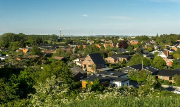 Как получить гражданство Дании