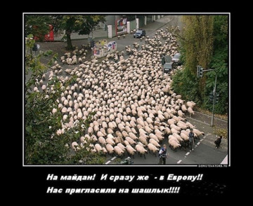 еврошашлык