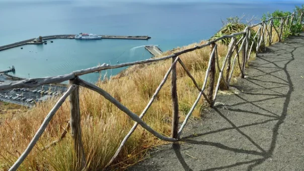 Мэр американского города выловила на рыбалке десятки килограммов кокаина