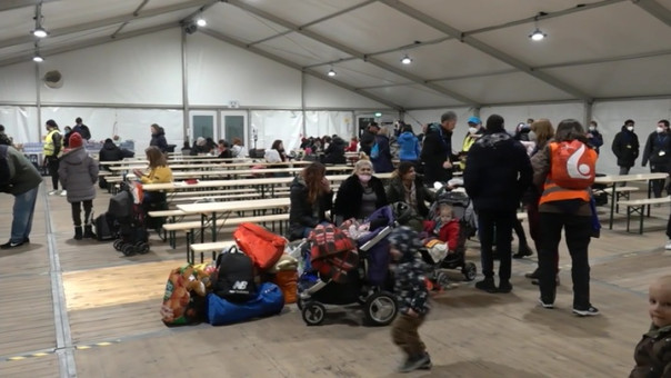 Украинские беженцы в Ирландии возмутились отказом кормить их бесплатно