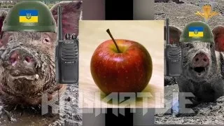 Радиоперехват украинских хлопцев