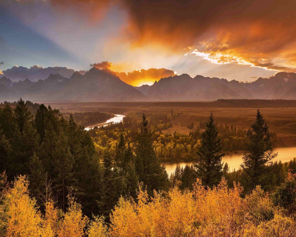 Завтра будет новый день