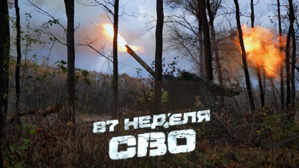 За лентой. 87-я неделя СВО