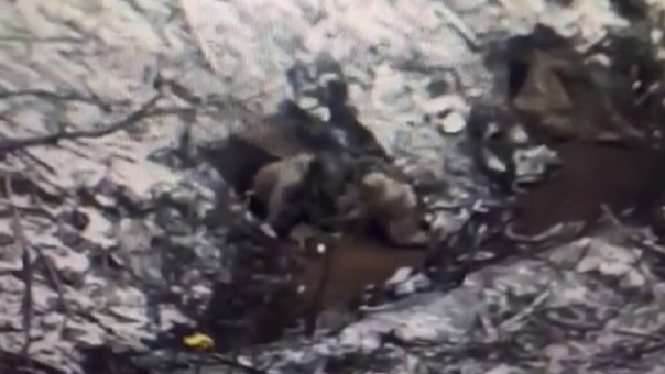 Плохая идея: Российский военный "наказал" лопатой неразорвавшийся украинский дрон-камикадзе