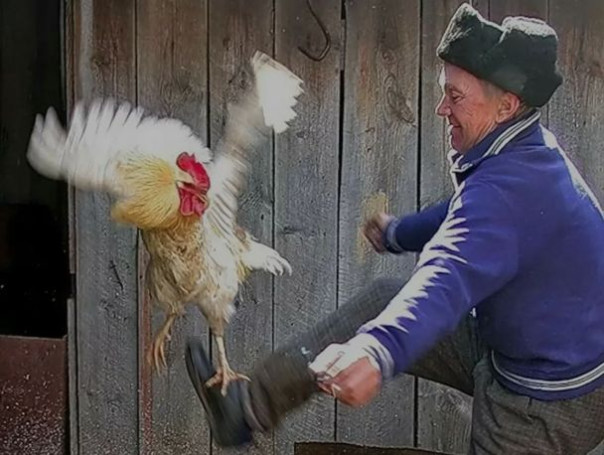 В России впервые за преступления лишили гражданства жителей пяти регионов.