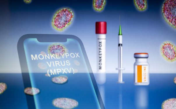 До России добралась передающаяся половым путем оспа обезьян — но есть нюанс