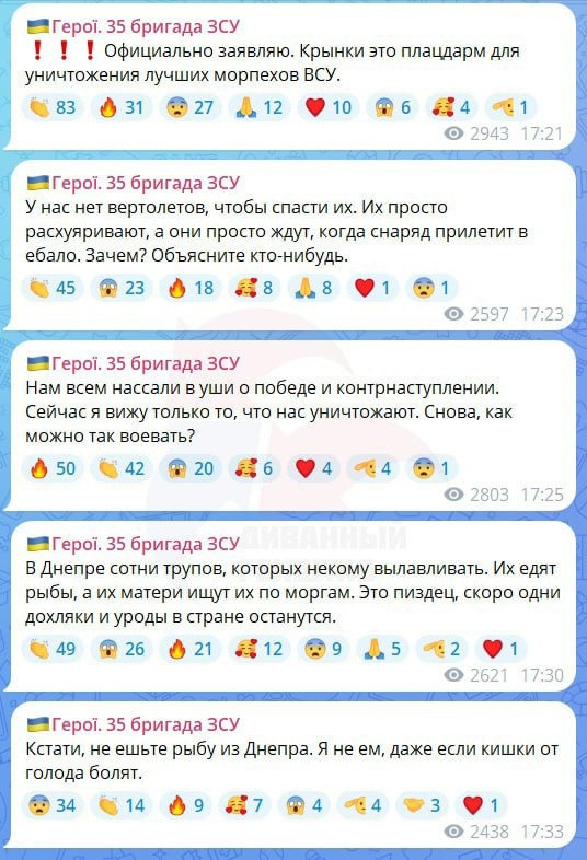 "Мыздобулы" в картинках. Смешных и не очень... 03.02.2024