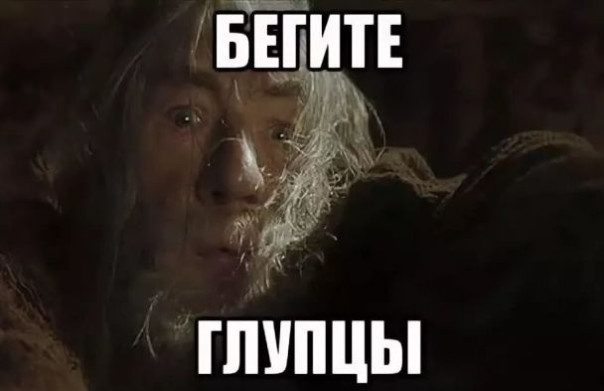 Бегите, глупцы! Александр Роджерс