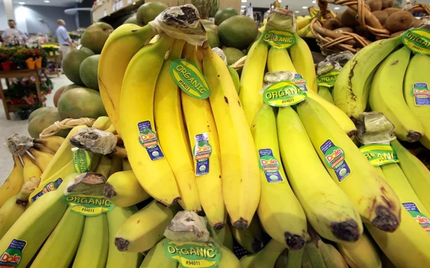 Индия начала поставлять бананы в Россию