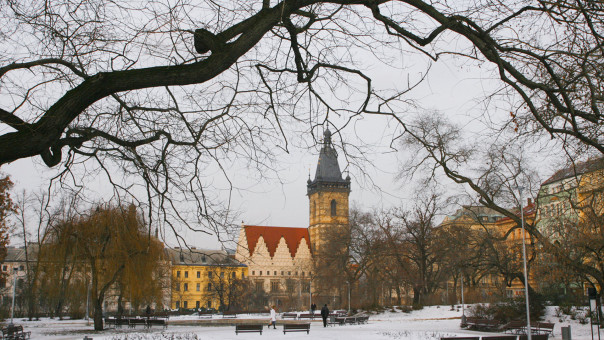 Российский газ вернулся в Чехию, но власти страны не хотят это признать