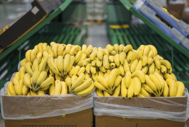 Эквадор: Поменял оружие на бананы