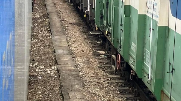 Украинские бобы снова  высыпали из вагонов на железнодорожной станции в Польше