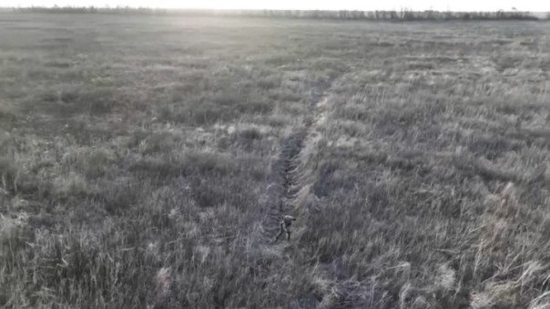 Российский снайпер Подя совершил подвиг, взявшись не за винтовку, а за косу