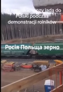 Шароварники негодуют. Из России в Польшу везут зерно,а украинское высыпают на границе