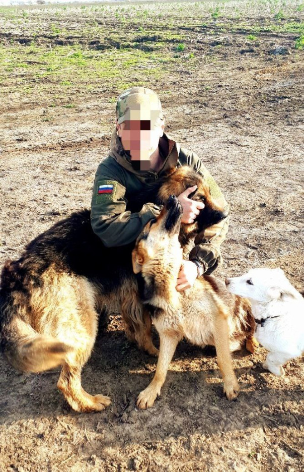 Почему я решил рассказать об этой душераздирающей истории именно так откровенно, почти без купюр