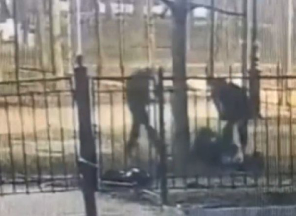 В Петербурге подростки из Узбекистана забавы ради забили прохожего до смерти