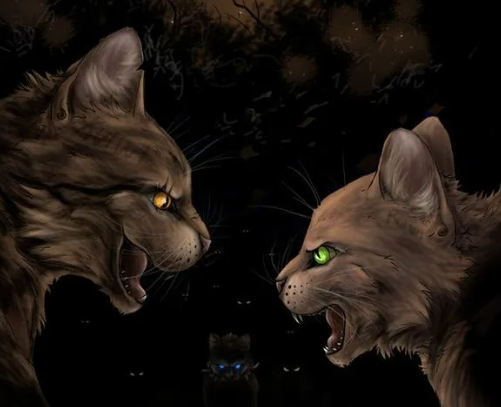 Кошачий территориальный конфликт от  первого лица