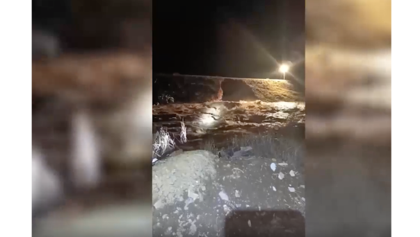 В Орске из-за аномального паводка прорвало дамбу, объявлена срочная эвакуация
