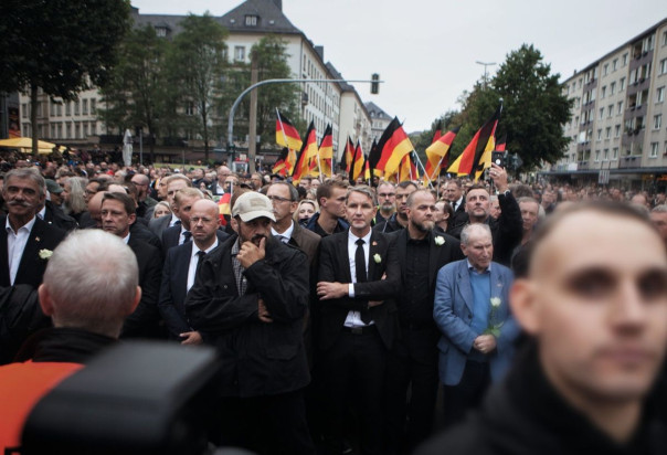 Европарламент ждет «Альтернатива»