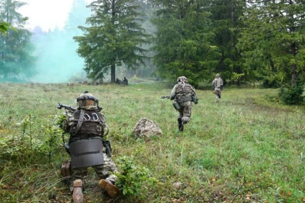 ВСУ не выдержали натиска российской артиллерии и бросили позиции в Красногоровке