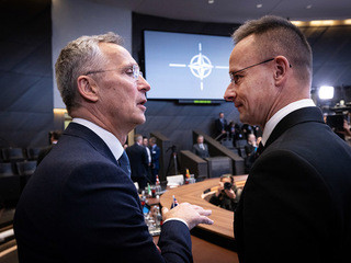 Парламентская ассамблея НАТО проголосовала за разрешение Украине атаковать РФ оружием блока