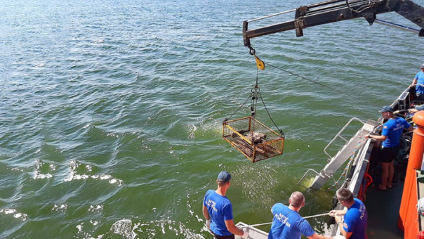 С затонувшей баржи в Балтийском море подняли тысячи боеприпасов