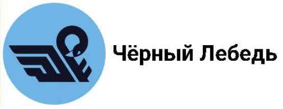 Чёрный Лебедь: Миф о «перегрузке» мощностей в экономике России