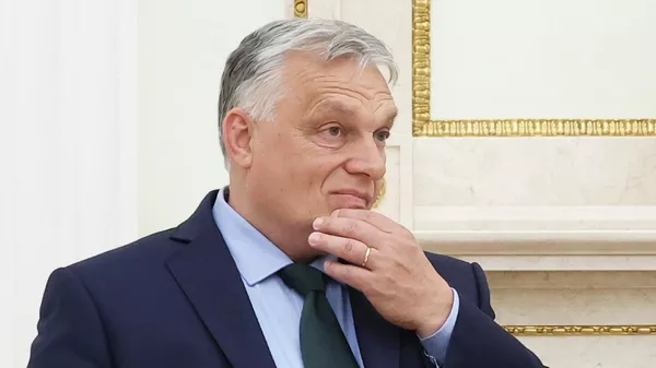 Польша призвала ЕС обуздать «деструктивное» поведение Орбана