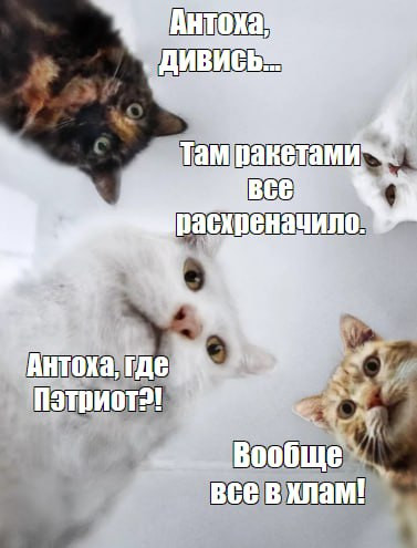 "Мыздобулы" в картинках. Смешных и не очень...11.07.2024