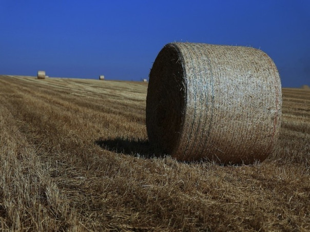 Неизвестные изощренным способом поджигают российские поля по заданию Украины