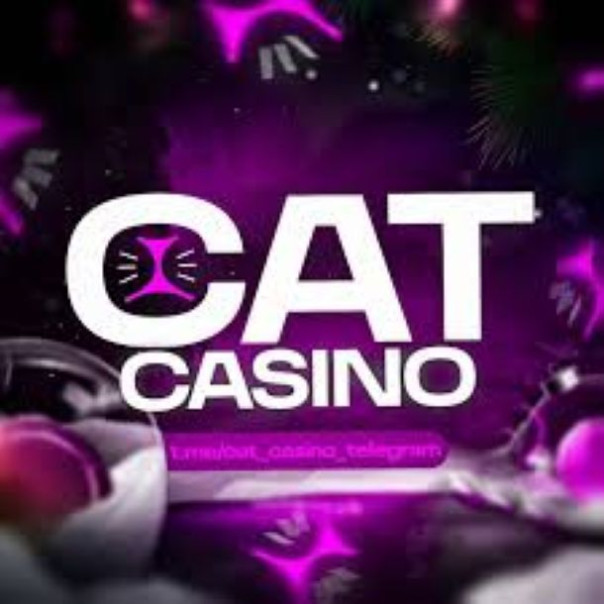 Cat casino: большой выбор игр от известных разработчиков