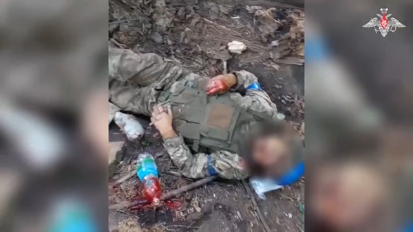 «Это невыносимо!» Эксперта Bild разозлили украинцы нападками из-за публикаций потерь ВСУ