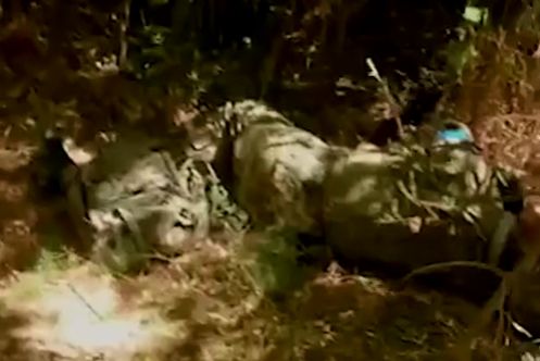 «Тряпка, еб***я!» — русские солдаты уничтожили ДРГ, собиравшуюся снять «тикток» с жовто-блакитным флагом в Курской области